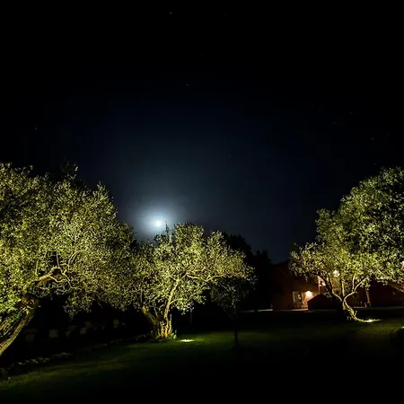 Masseria Degli Ulivi - Noto ホテル 4*